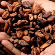 naturvit - kakao