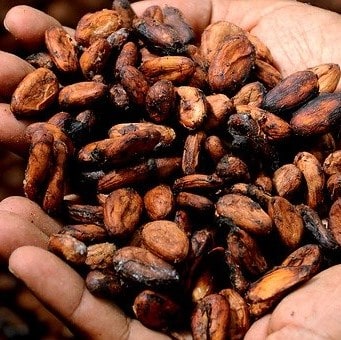 naturvit - kakao